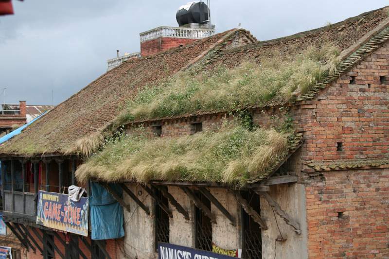 India & Nepal 2011 - 0303